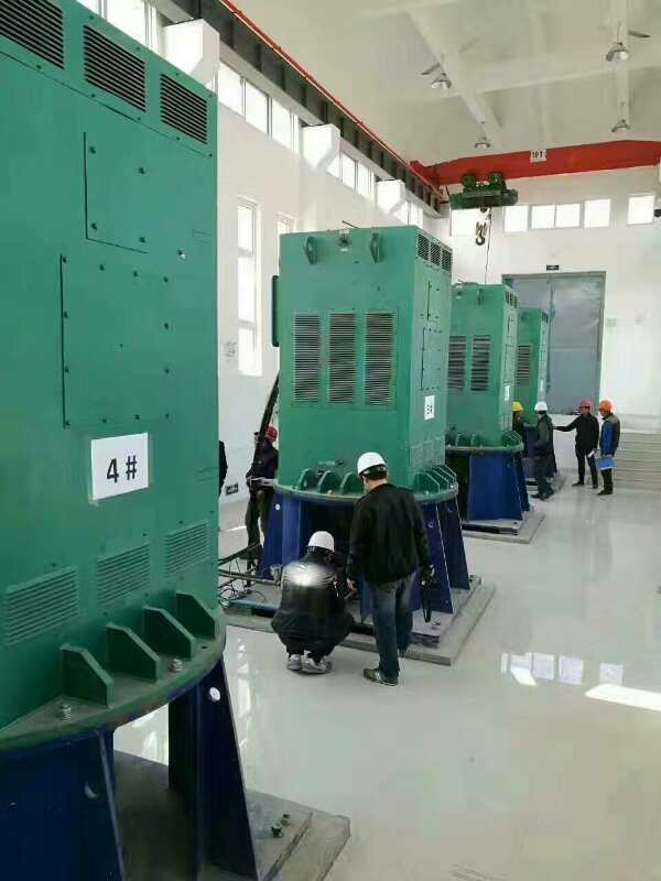 乌审某污水处理厂使用我厂的立式高压电机安装现场